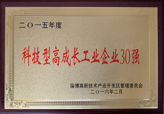 2015年科技型高成长工业企业30强